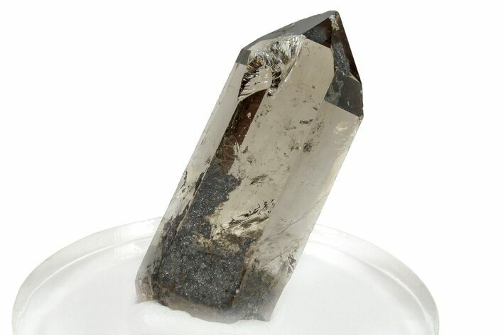 Glassy Smoky Quartz Crystal - Brazil #255468